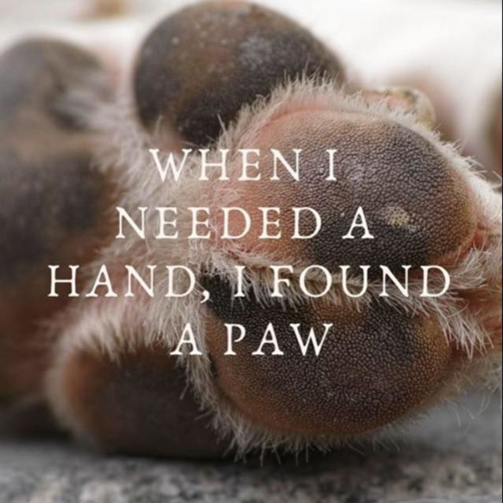 Meet your Posher, Adele